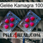 Gelée Kamagra 100 14